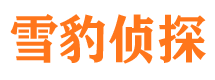 渝水市侦探公司